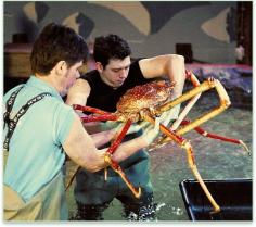 A giant spider crab named Crabzilla is transferred by animal handlers from Sea Life in Scheveningen, the Netherlands, to Paris Sea Life.