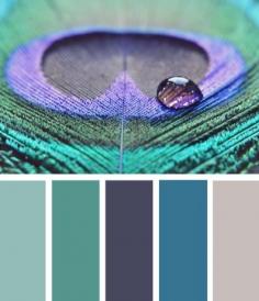 peacock color scheme | Teen bathroom color scheme: peacock colors ... | There's no place lik ...