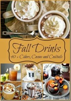 40+ Fall Drink Recipes including Ciders, Cocoas,and cocktails. Some hot and some cold. Perfect to get you through the holidays / Miss Information Blog / #FallDrinkIdeas #Cocktails #HotCocoa #Holiday #Cider