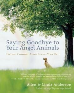 Some of my most heartbreaking losses have been my dogs that have passed.  Hopefully this will help ease some pain of losing a beloved pet.