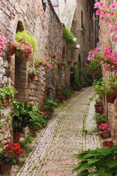 the French town of Giverny. Beautiful.