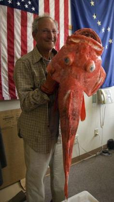 Henry Liebman might set a record with a 40-pound shortraker rockfish that experts believe is at least 200 years old. Caught off the coast of Alaska on June 21.