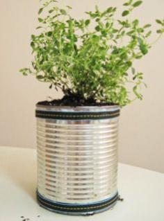 Repurposed Tin Can Planters DIY - Moms and Crafters
