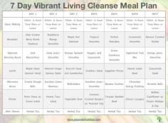 7-day Vibrant Living Cleanse Meal Plan