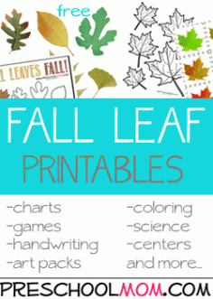 Free Fall Leaf Preschool Printables at Preschool Mom