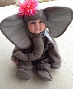 Oh my! I want a baby elephant!!!