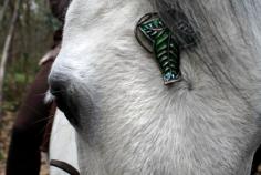 lord of the rings horse