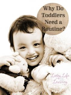 Reduce the meltdowns by getting your toddler into a regular routine #homeschool #parenting