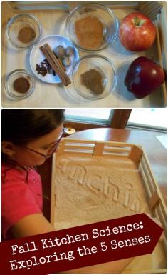 Explore the 5 senses with apples and popular baking items you would use for #autumn recipes! #stem