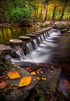 Shimna river in Tollymore Forest Park, Ireland