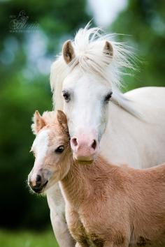 A mother's love