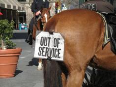 Police Horse: Out of Service. Cops on a donut break with a sense of humor! San Jose Ca