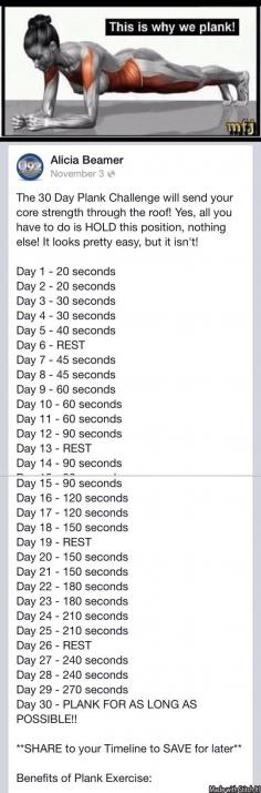PLANK CHALLENGE- Looks easy, let's see how this works out