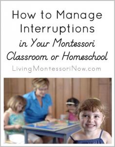 Tips for managing interruptions in Montessori homeschools as well as classrooms.