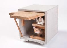 architects design cat shelters
