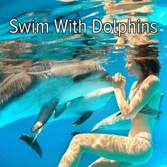 Checked this off in PV Mexico in 2012!!!Bucket list: travel somewhere tropical to swim with dolphins!