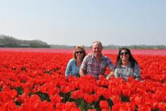 Tulip Excursion-- private tour of dutch countryside and tulip fields with a professional photographer.