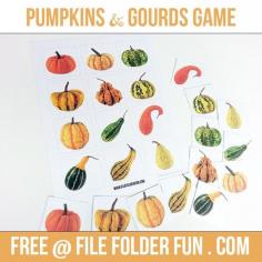 Pumpkins & Gourds Matching Game (Treasure Hunt at Pumpkin Patch?)