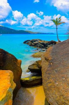 Magen's Bay Beach - Saint Thomas - Virgin Islands - USA