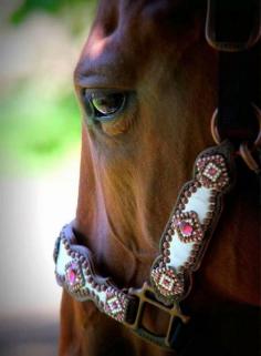 Uhh pretty sure my horses need this for Christmas. In turquoise of course.