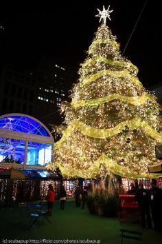 Bryant park Christmas tree, NYC