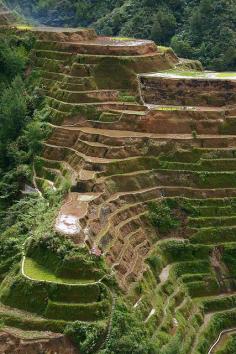 Banaue rice terraces - Phillipines, one of the 7 wonder of the World, located in the northern part of Luzon.