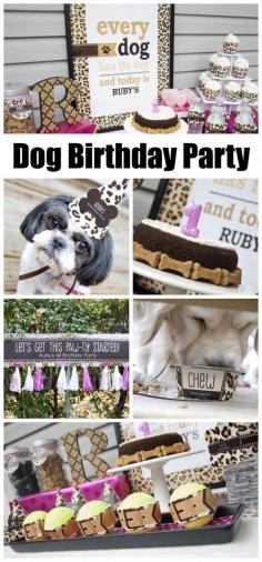 A leopard print dog birthday party that will make you smile (especially if you're a dog lover). See more party ideas at CatchMyParty.com. #doggy #birthdayparty