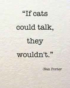 #cats #quotes