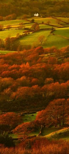 Lyth Valley, Lake District, Cumbria, England