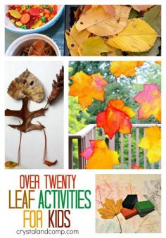 more than 20 leaf activities for kids