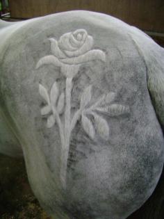 Rose horse clipping
