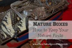 Using Nature Boxes to store keepsakes from nature walks