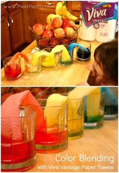 Really cool ideas for paper towel science experiments. Great science project!