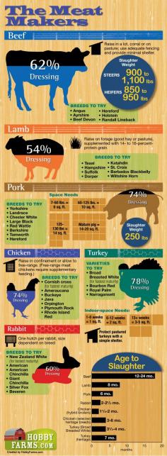 
                        
                            Infographic: The Meat Makers - Hobby Farms
                        
                    