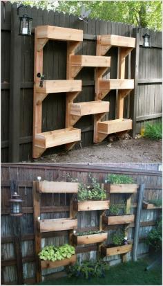 Summer project: A beautiful way to display your garden and plants in the backyard!