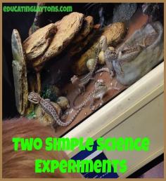 Two Simple Science Experiments for new homeschoolers (or moms who are terrified of #science)