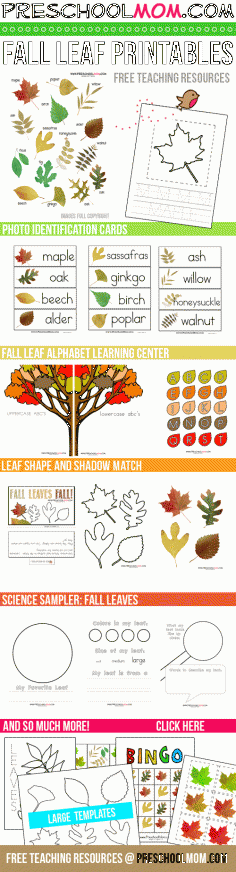 Tons of free Fall Leaf Printables!  Photo Cards, Sequencing, Alphabet, Science Sampler, Handwriting, Art Templates, Bingo and more.