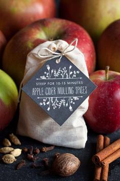 Apple Cider Mulling Spices | The Everming Blog | www.evermine.com