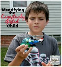 Identifying the Cognitively Gifted Child via www.RaisingLifleo...