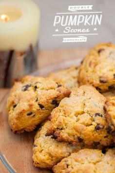 Pumpkin Chocolate Scones