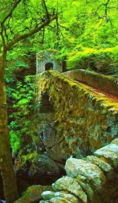 
                        
                            Ancient Stone Bridge Perthshire, Scotland
                        
                    