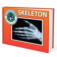 
                        
                            Free Skeleton eBook for Kids - Teach the bones with this early learning ebook.
                        
                    