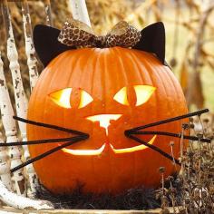 Fun Cat Pumpkin  With her chenille stem whiskers, crafts foam ears, and pretty bow, this pretty kitty is a surefire kid favorite.