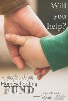 
                        
                            Would you be willing to help  a single mom homeschool? I want to share  a few practical ways that you can do just that!
                        
                    