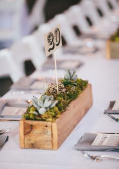 Rustic reception decor | Mullers Photo |100 Layer Cake - made by the wedding party and their families! Cute!
