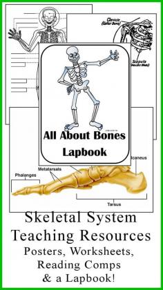 
                        
                            Teaching Resources designed for any study on "Bones" (the skeletal system), download club members can download @ www.christianhome...
                        
                    