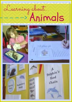 Want to study animals? Use these lesson plans with your K-3rd grade students - 18 weeks of lesson plans!