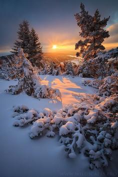 Snowy Sunrise in France