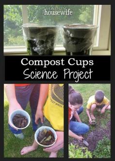 
                        
                            Compost Cups Science Project ~ learn all about decomposition! | The Happy Housewife
                        
                    