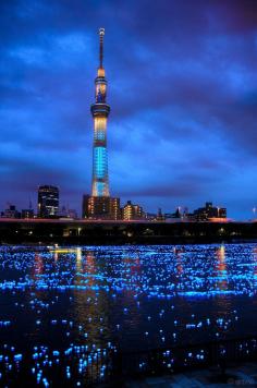 Symphony Of Light / Sumida river, Tokyo, Japan (Taken during Tokyo Hotaru Festival 2013)